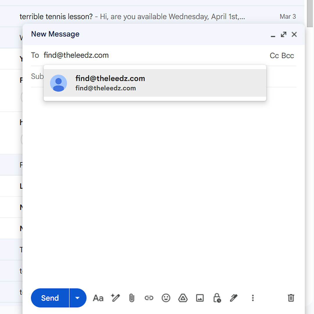 Leedz find email example